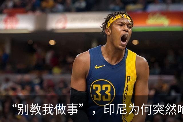 “别教我做事”，印尼为何突然呛声新加坡？