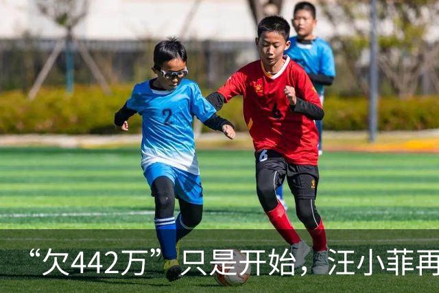 “欠442万”只是开始，汪小菲再迎2大重锤，张兰担心的事发生
