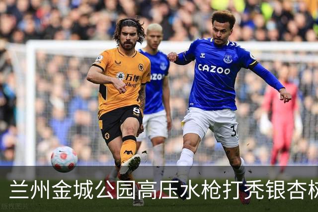 兰州金城公园高压水枪打秃银杏树，环卫公司负责人致歉：深刻检讨，两名涉事员工已停职