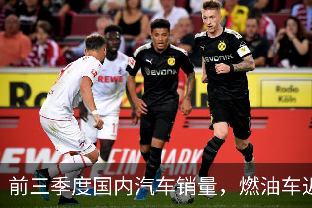 前三季度国内汽车销量，燃油车近乎腰斩，比亚迪销量断崖领先