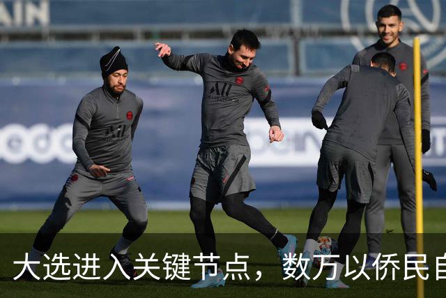 大选进入关键节点，数万以侨民自费回国，跨洋投票希望推翻现政府
