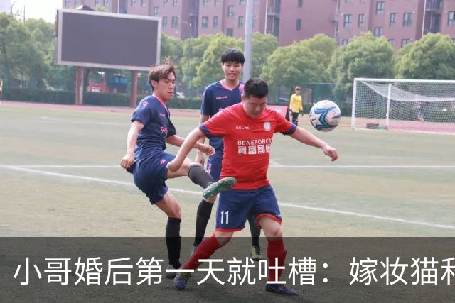 小哥婚后第一天就吐槽：嫁妆猫和彩礼猫天天干架，互殴了整整3年！网友笑疯：这不就是新时代《家有儿女》吗！
