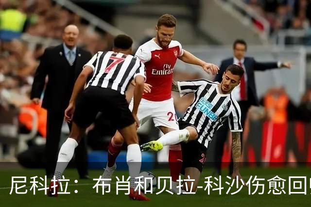 尼科拉：布肖和贝拉-科沙伤愈回归；我们本该赢下热那亚