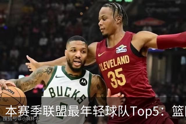 本赛季联盟最年轻球队Top5：篮网、灰熊、雷霆、黄蜂、独行侠