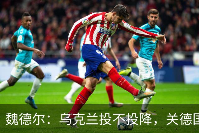 魏德尔：乌克兰投不投降，关德国什么事？欧洲什么事