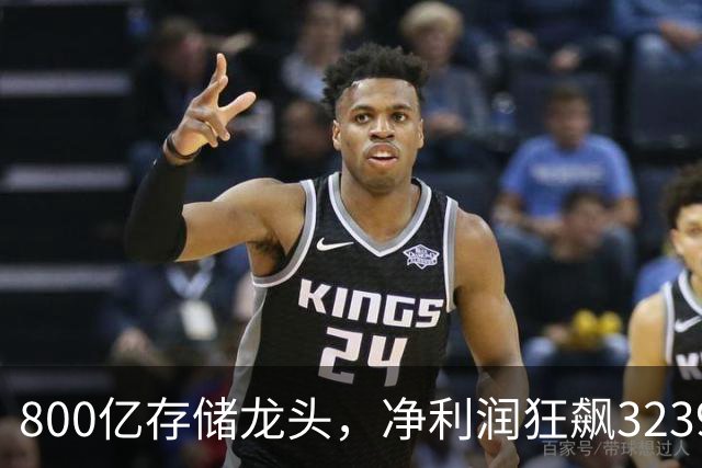 800亿存储龙头，净利润狂飙32399%